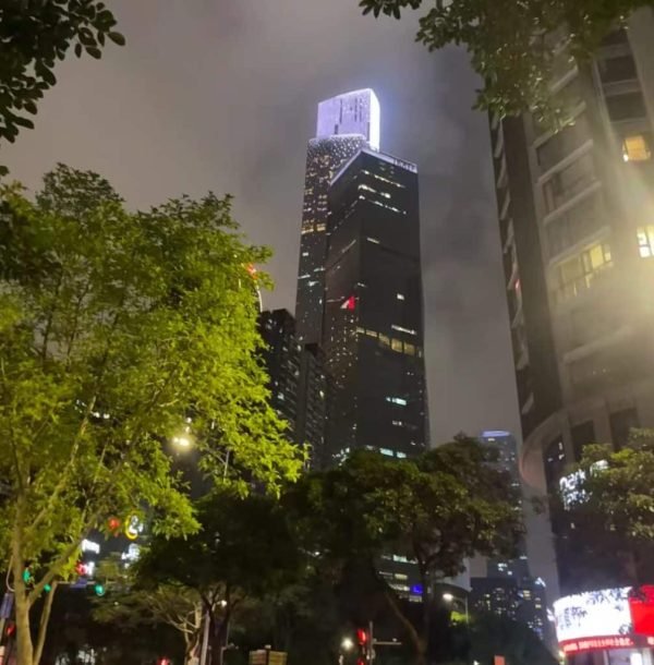 1b254edc22ffeef0edb0989c5e8a7793-1007x1024 (1)